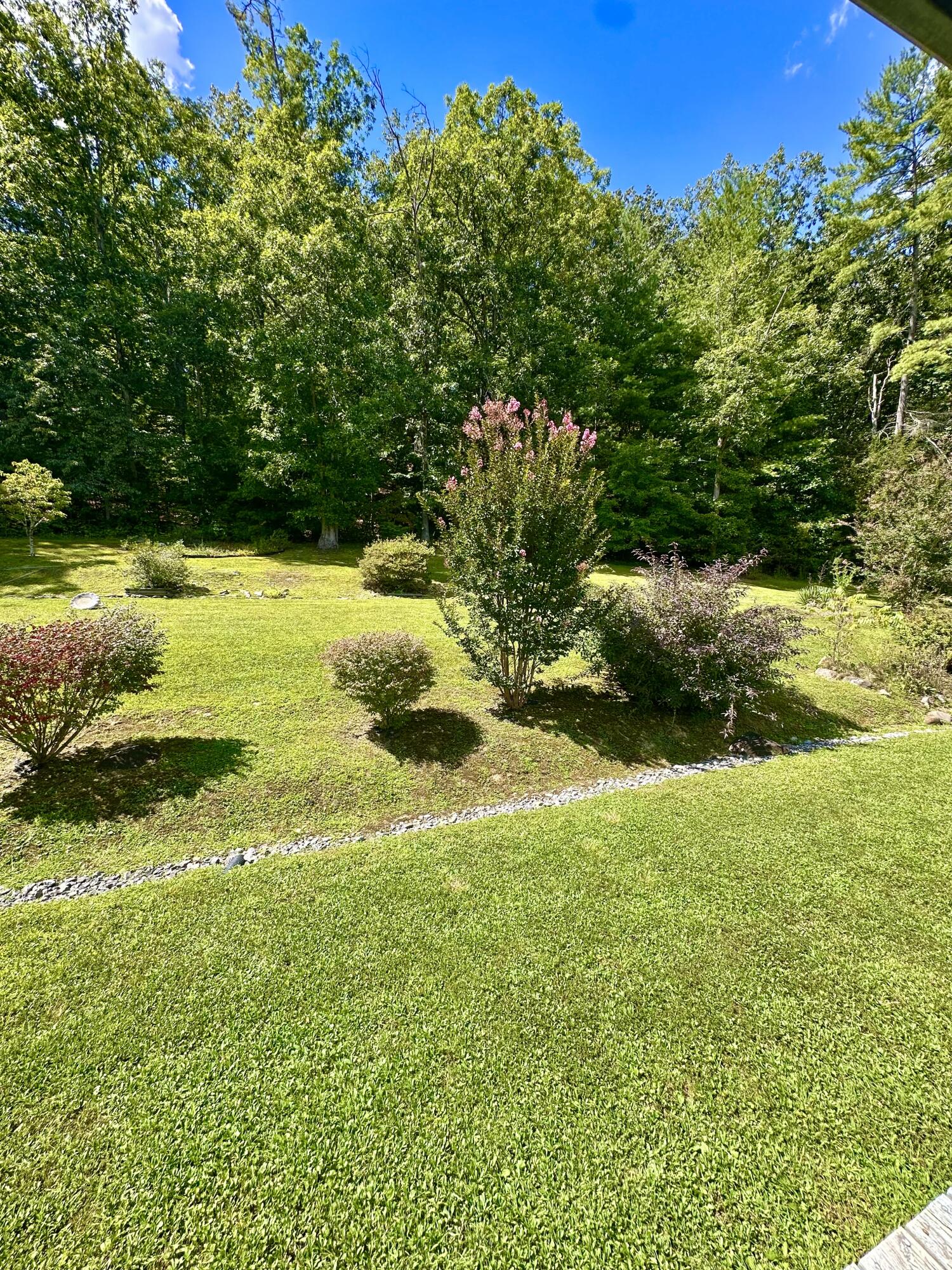 4801 Nicelytown Road Clifton Forge, VA 24422 - Photo 75 of 96 a view of yard with swimming pool and green space
