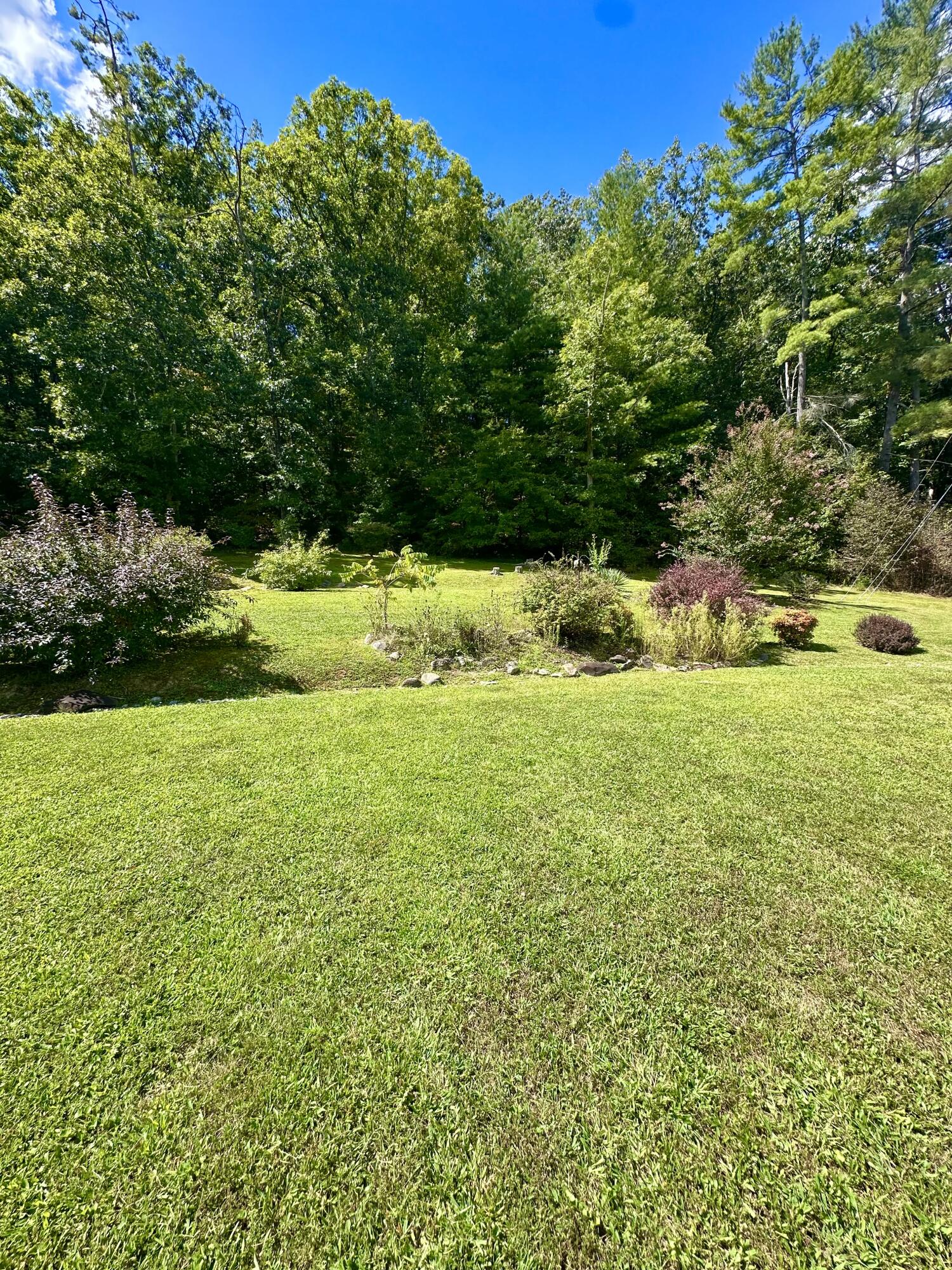 4801 Nicelytown Road Clifton Forge, VA 24422 - Photo 77 of 96 IMG_4012