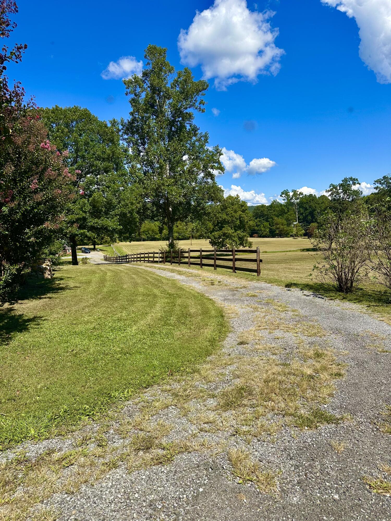 4801 Nicelytown Road Clifton Forge, VA 24422 - Photo 78 of 96 IMG_3930