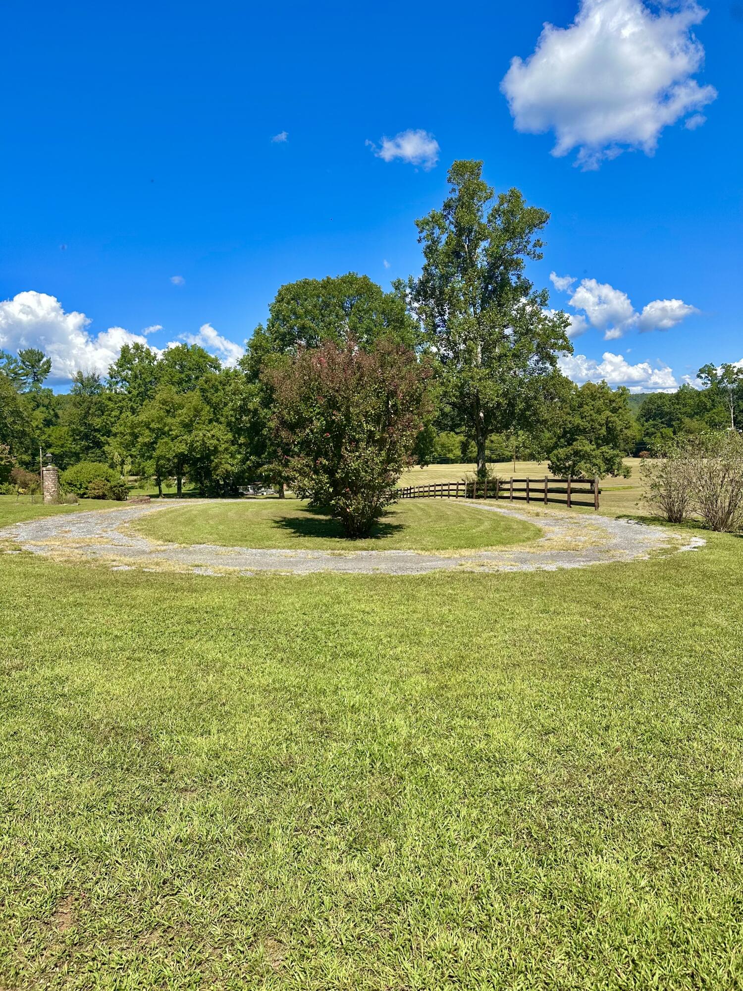4801 Nicelytown Road Clifton Forge, VA 24422 - Photo 79 of 96 IMG_3929
