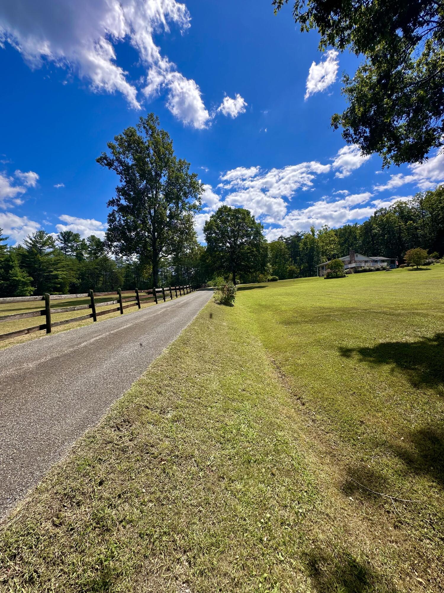 4801 Nicelytown Road Clifton Forge, VA 24422 - Photo 80 of 96 IMG_4059