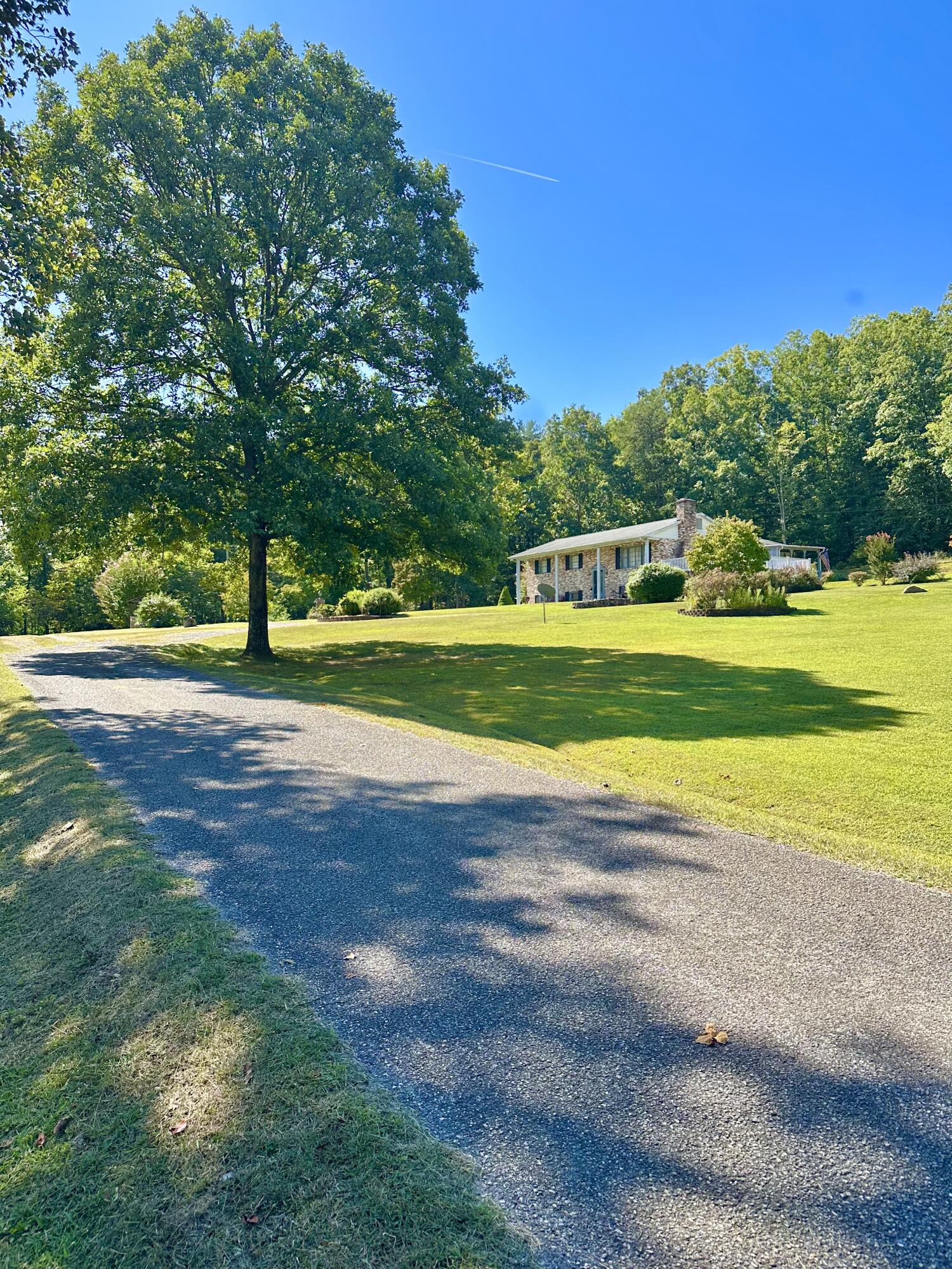4801 Nicelytown Road Clifton Forge, VA 24422 - Photo 8 of 96 a view of an outdoor space and a yard