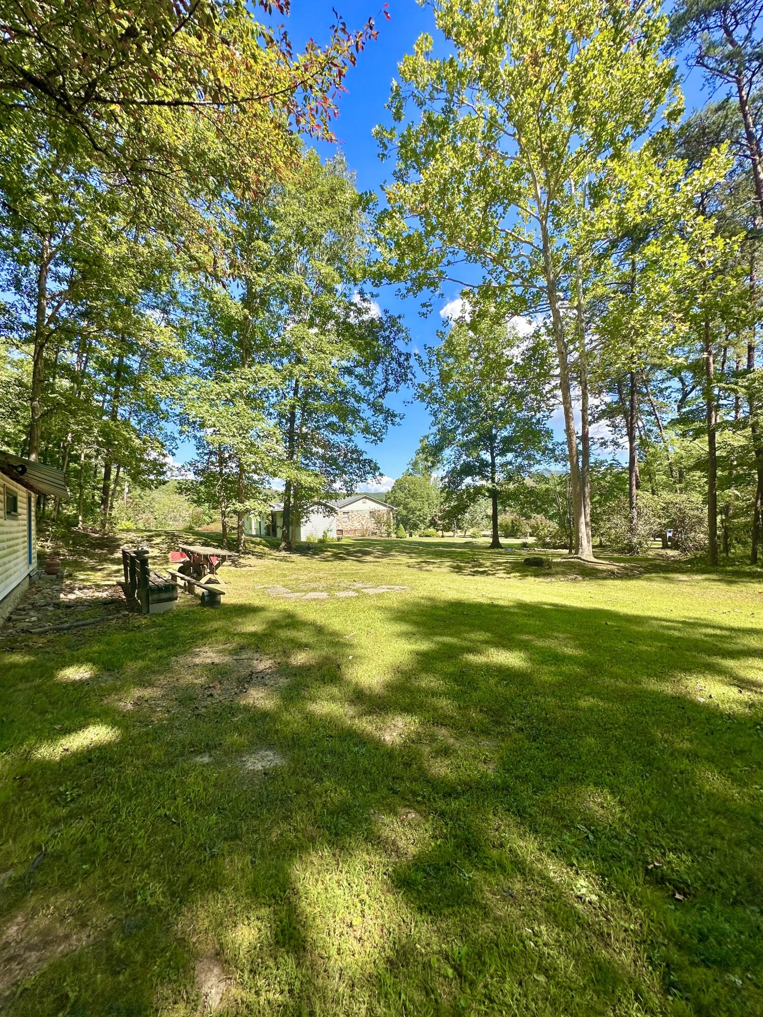 4801 Nicelytown Road Clifton Forge, VA 24422 - Photo 82 of 96 IMG_3921