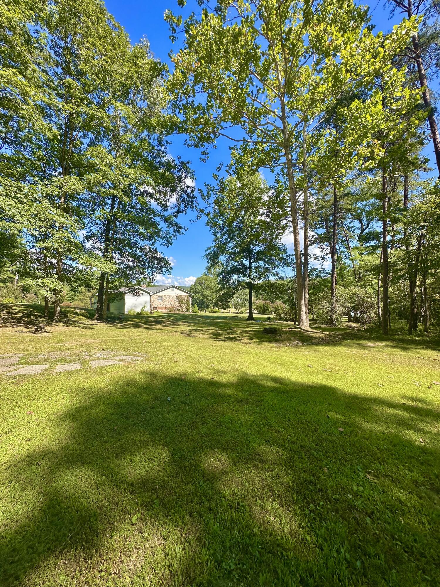 4801 Nicelytown Road Clifton Forge, VA 24422 - Photo 83 of 96 a view of swimming pool with an outdoor space