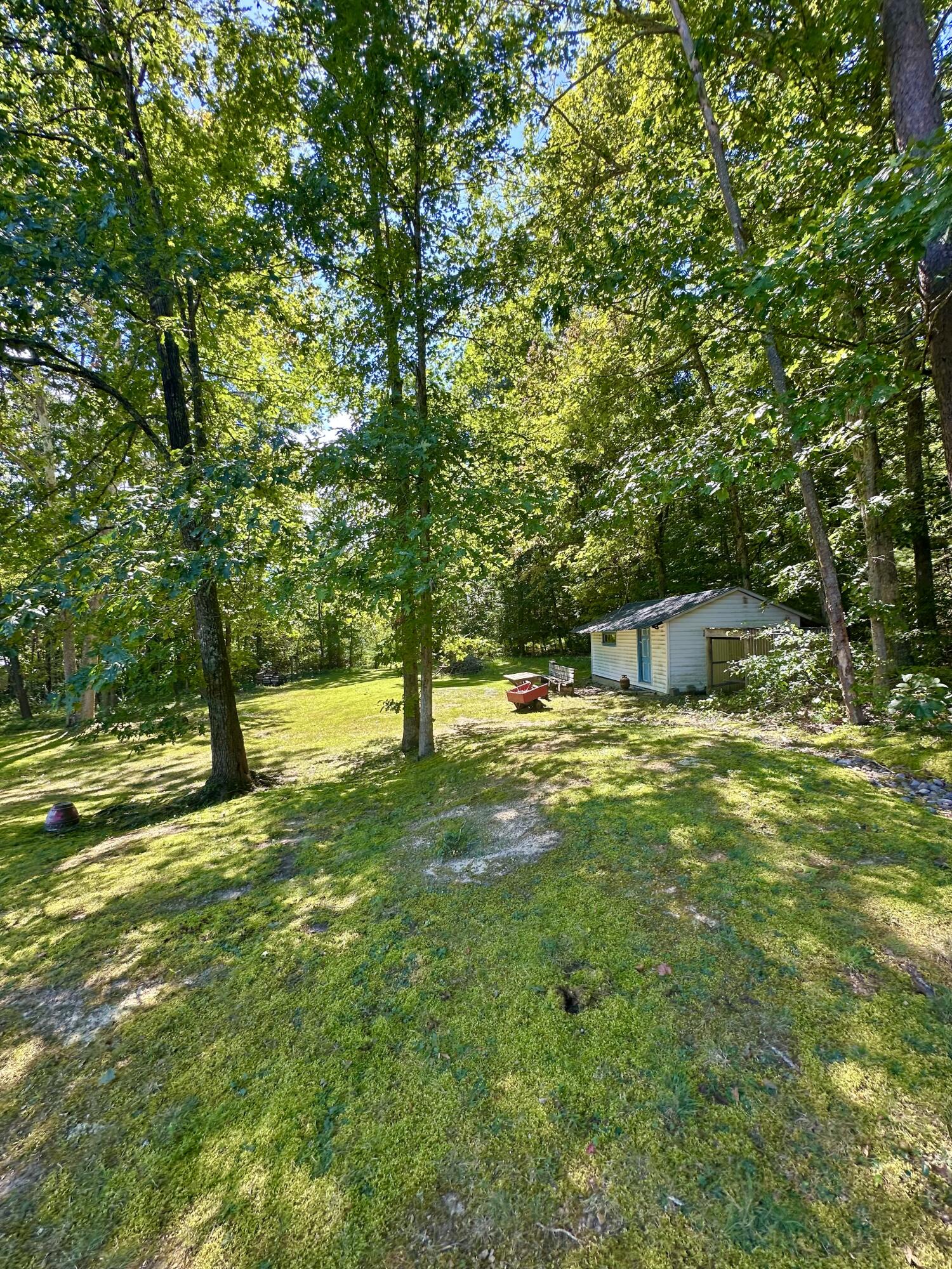 4801 Nicelytown Road Clifton Forge, VA 24422 - Photo 86 of 96 IMG_3905