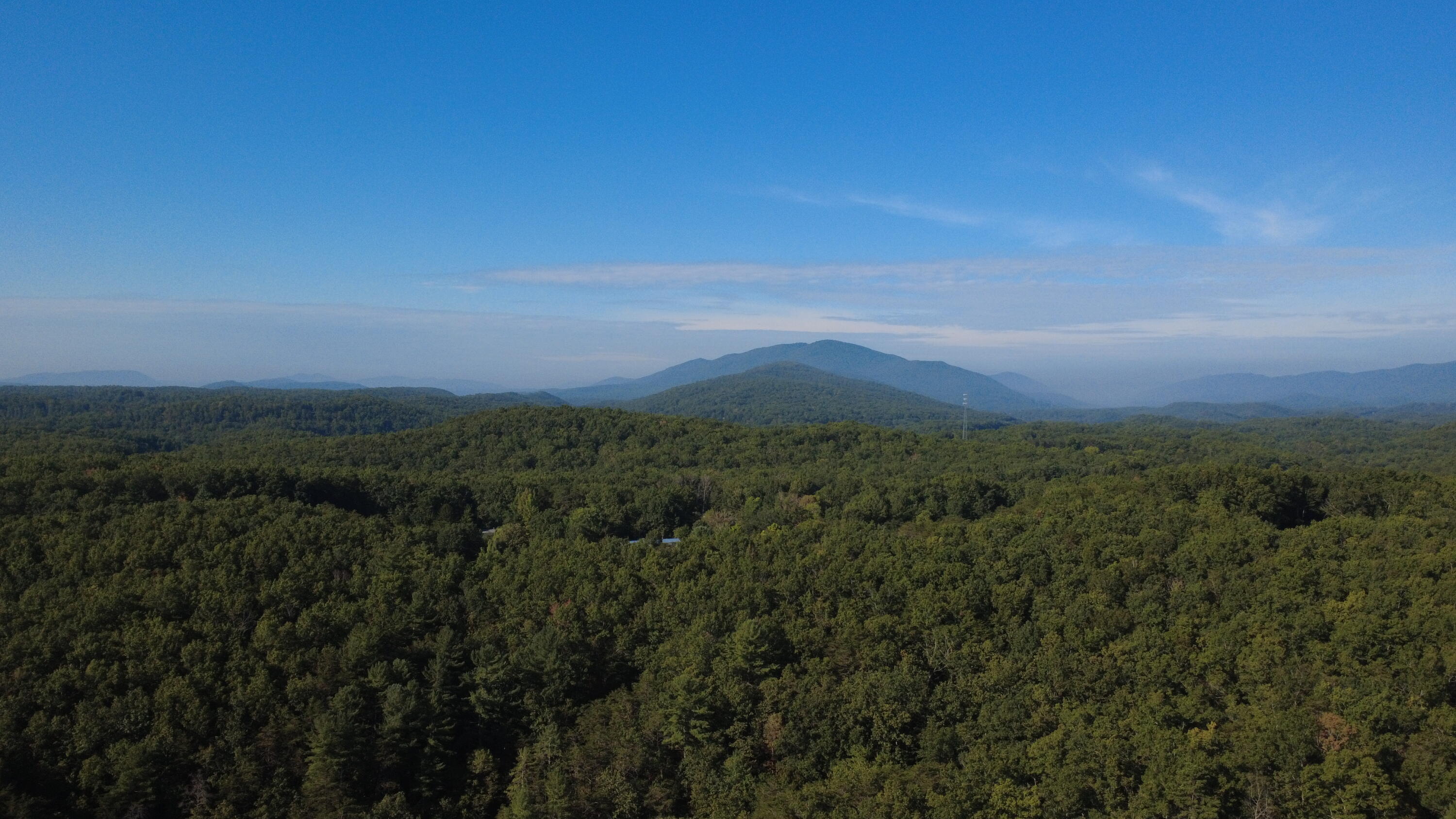 4801 Nicelytown Road Clifton Forge, VA 24422 - Photo 96 of 96 DJI_0301