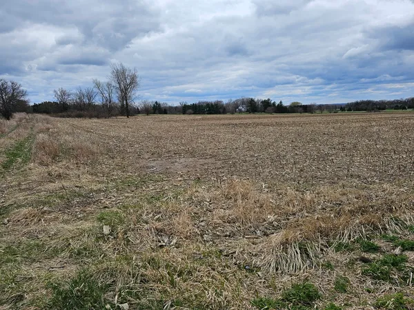 $875,000 | 0 Big Timber / Widmayer Sec Road, Hampshire, IL 60140