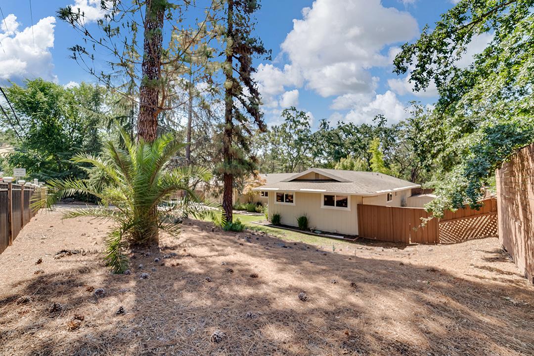 3151 Stone Valley Road Danville, CA 94526 - Photo 4 of 41 a view of a house with a tree