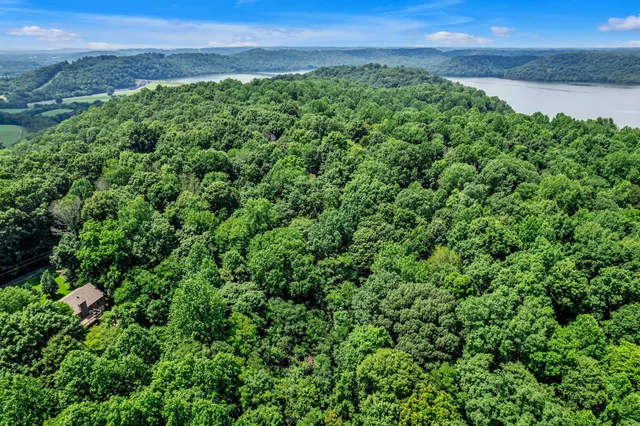 a view of a green field with lots of green space