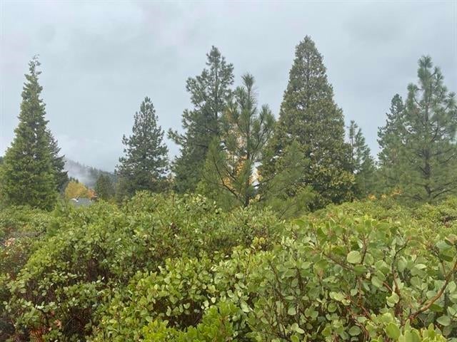 Lot 55 Grant Road Mount Shasta, CA 96067 - Photo 1 of 12 Gallery Image 1