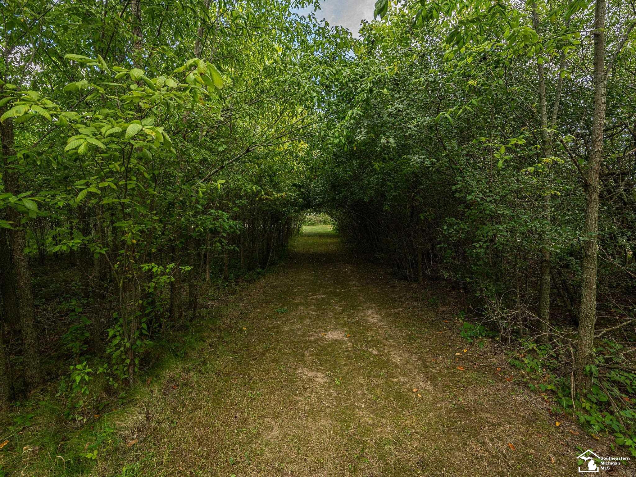 4992 Post Road Newport, MI 48166 - Photo 72 of 87 50191761-27660238-bfc5-4ab2-ac3a-7b8f0ccd7926.JPG
