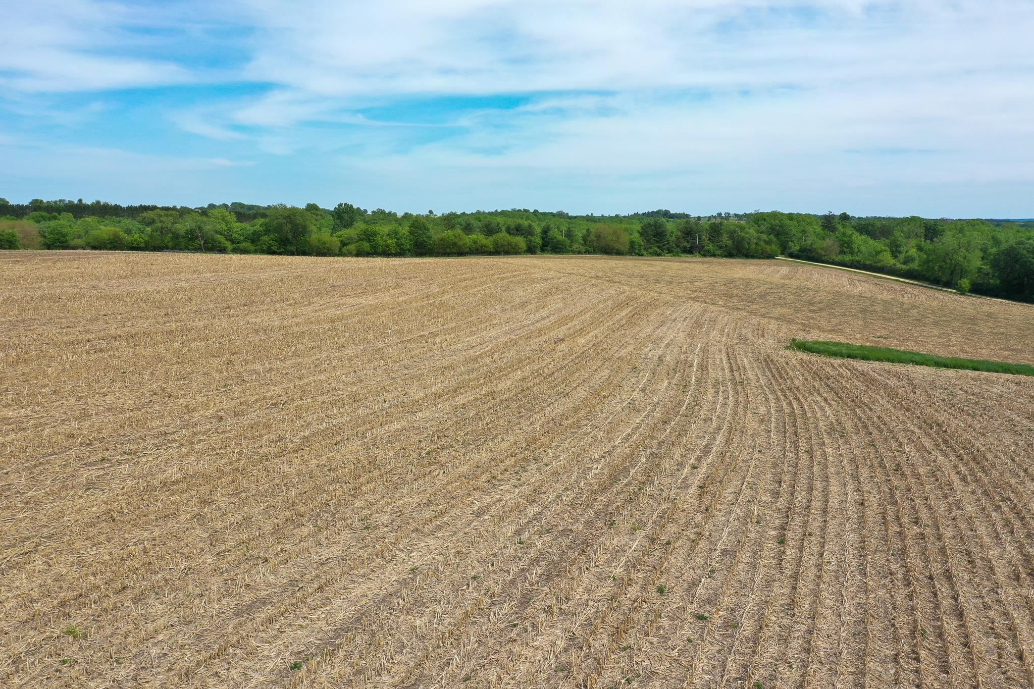 11.7-acres Lunde Mount Horeb, WI 53572 - Photo 21 of 26