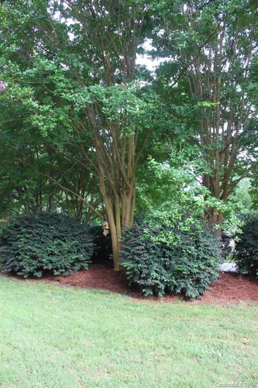 10443 Sardis Oaks Road Charlotte, NC 28270 - Photo 15 of 16