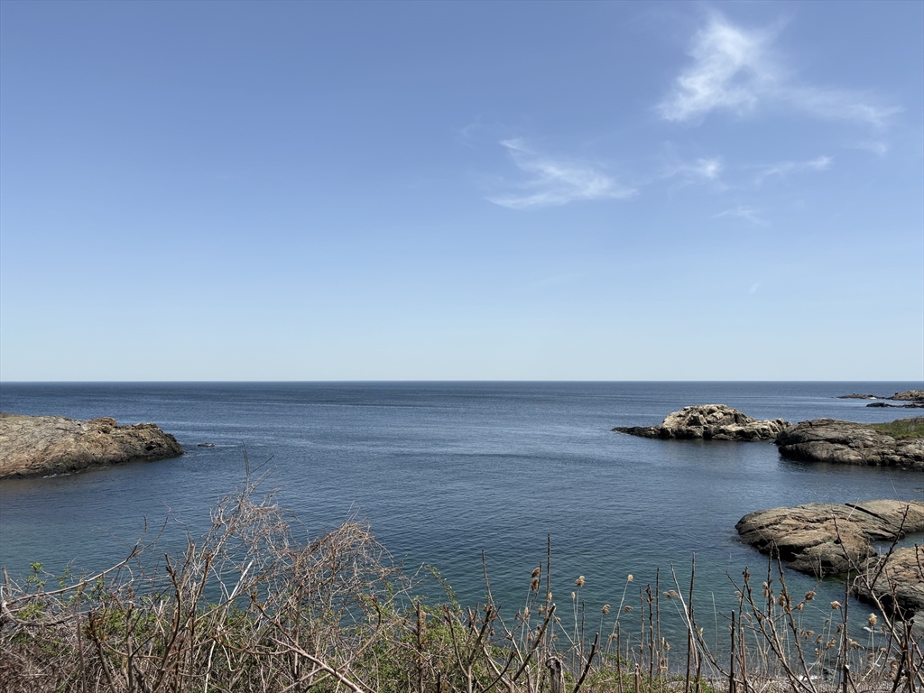 11 Fox Hill Road Nahant, MA 01908 - Photo 35 of 40 Gallery Image 35