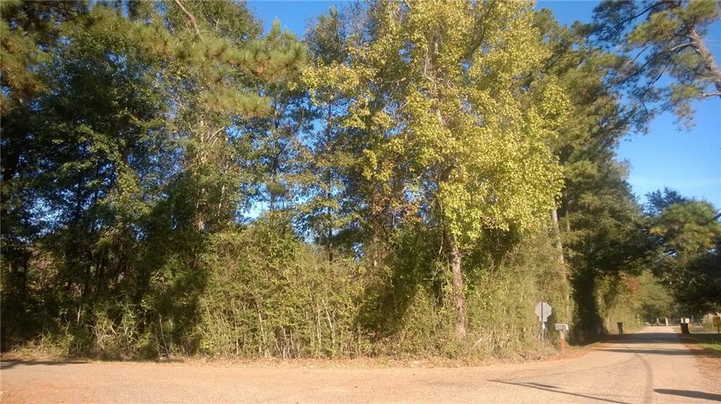 39417 North Bunker Hill Road Ponchatoula, LA 70454 - Photo 2 of 2