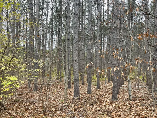 $110,000 | 0 Norway Drive, Woolwich, ME 04579