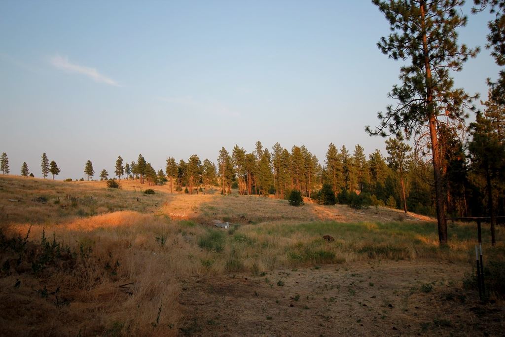 6014 North Rambo Road Spokane, WA 99224 - Photo 18 of 20