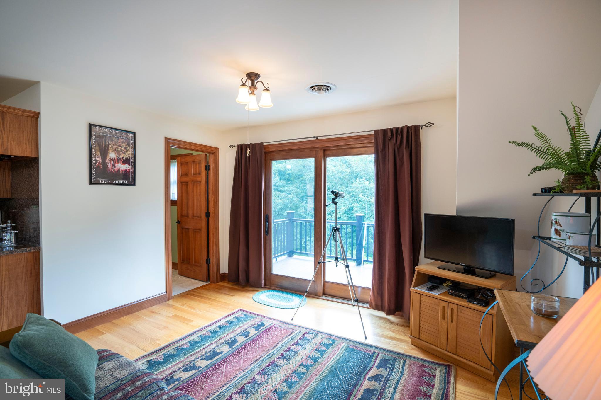 160 Ferne Ridge Lane Spring Mills, PA 16875 - Photo 60 of 100