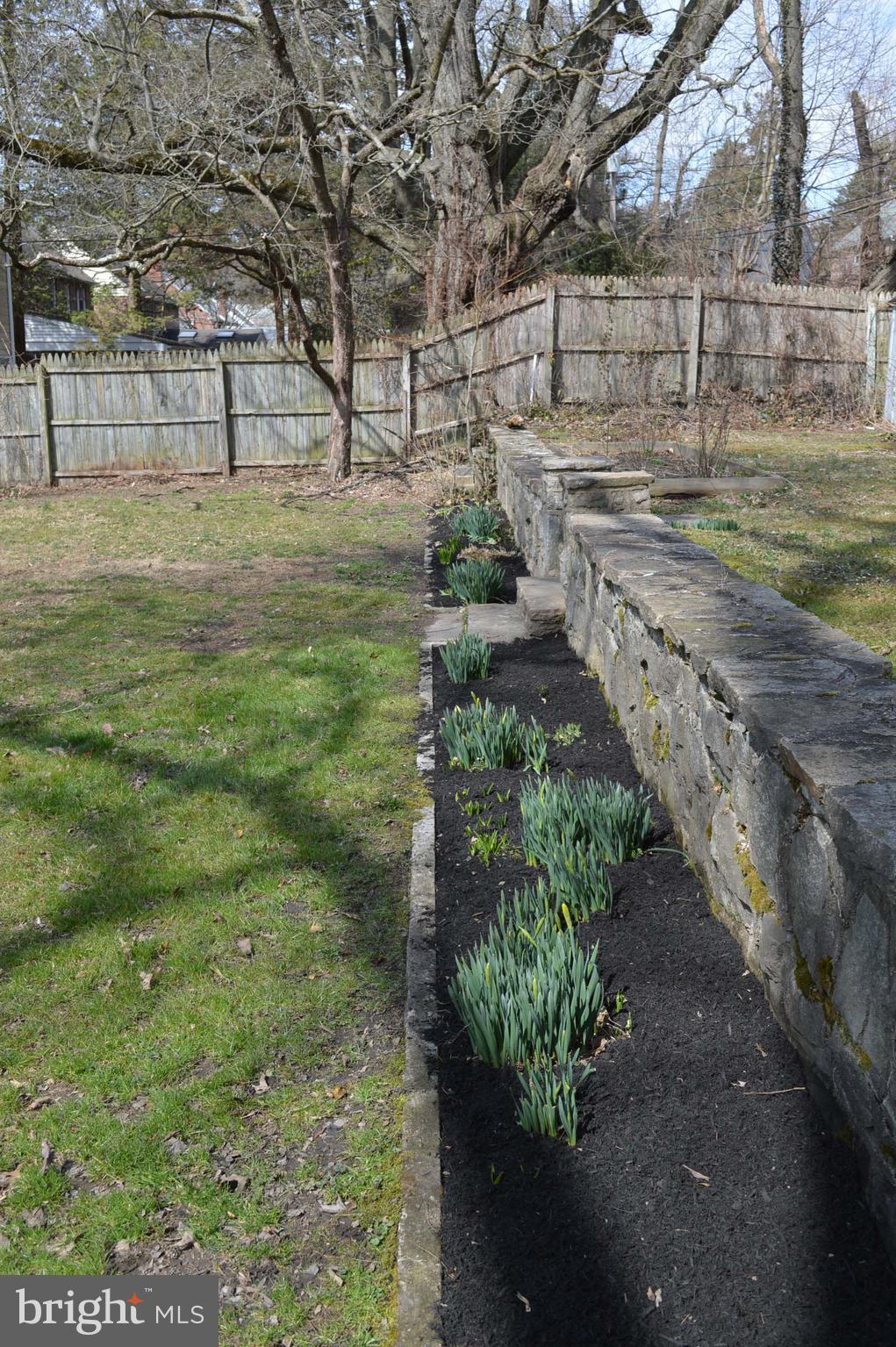 814 Pleasant Hill Road Wallingford, PA 19086 - Photo 21 of 24 Yard