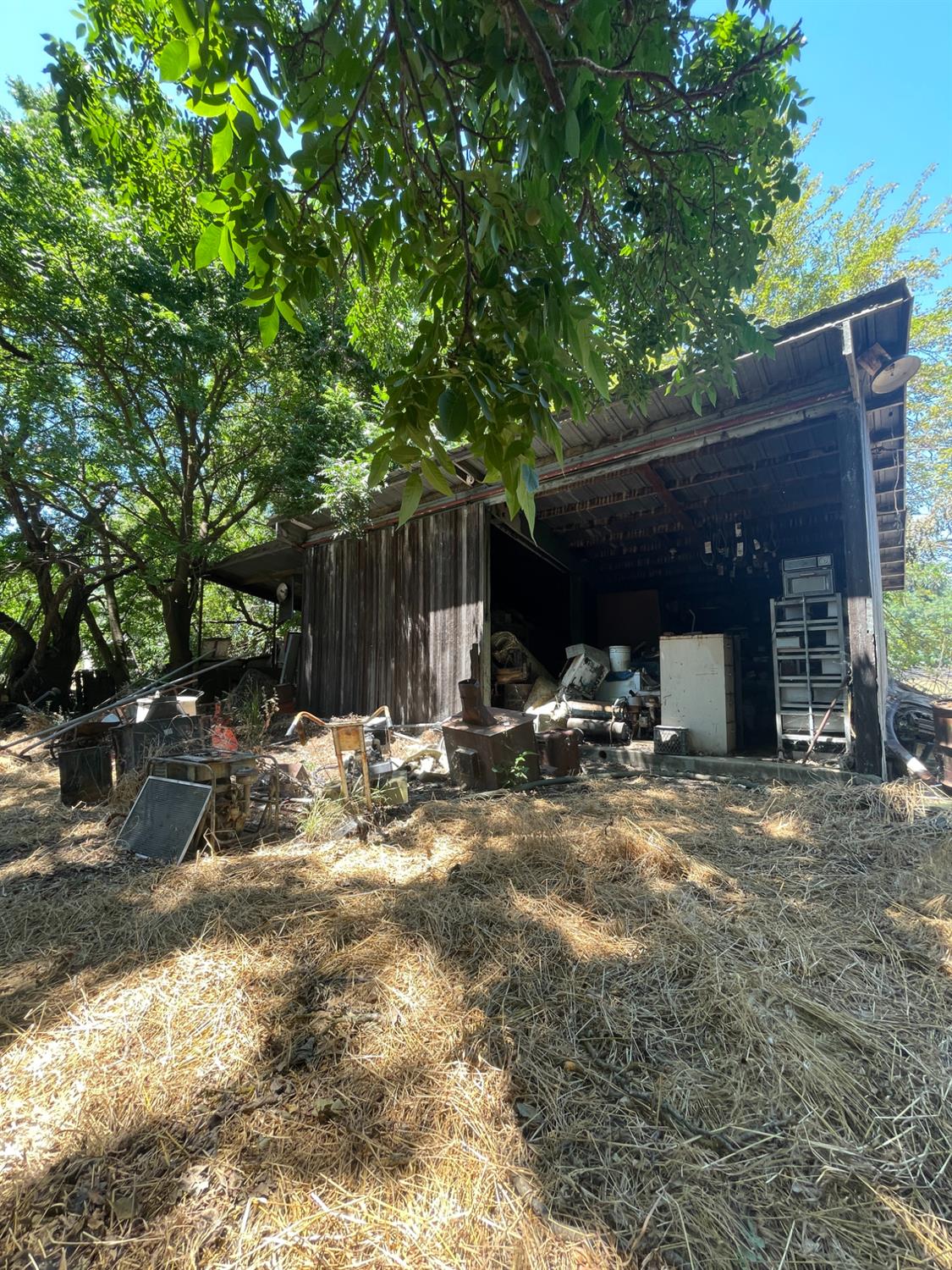 2547 Venice Road Williams, CA 95987 - Photo 7 of 18