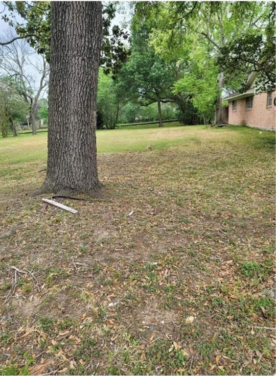 8835 Valley View Lane Houston, TX 77074 - Photo 6 of 6