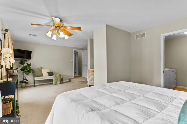 a bedroom with a bed a large window and potted plant on a dresser