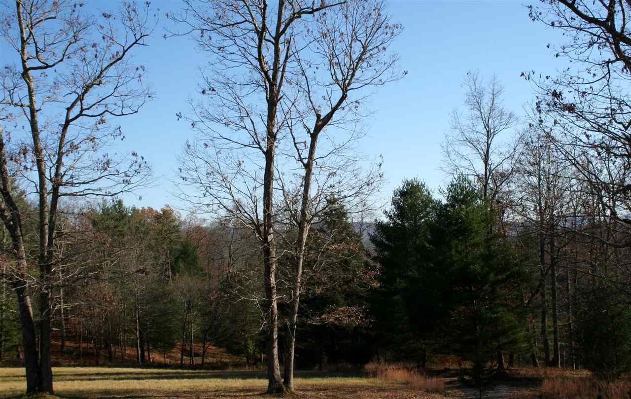1480 Davis Run Road McDowell, VA 24458 - Photo 43 of 49 Gallery Image 43