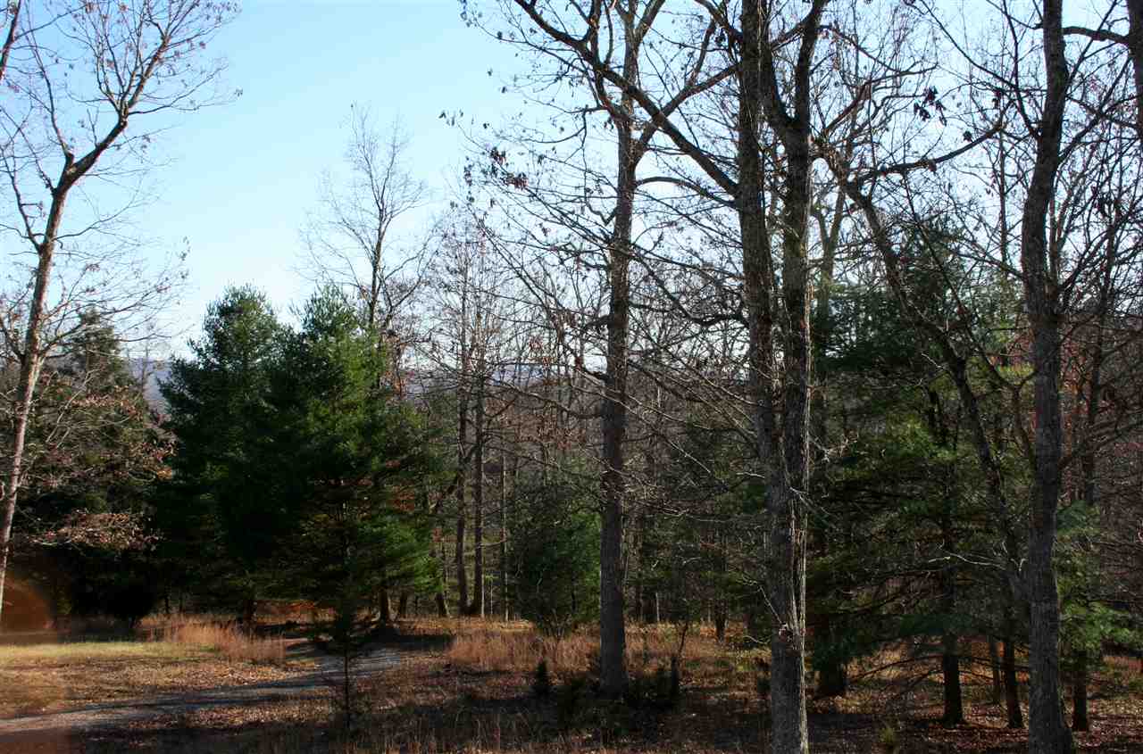 1480 Davis Run Road McDowell, VA 24458 - Photo 44 of 49 Gallery Image 44