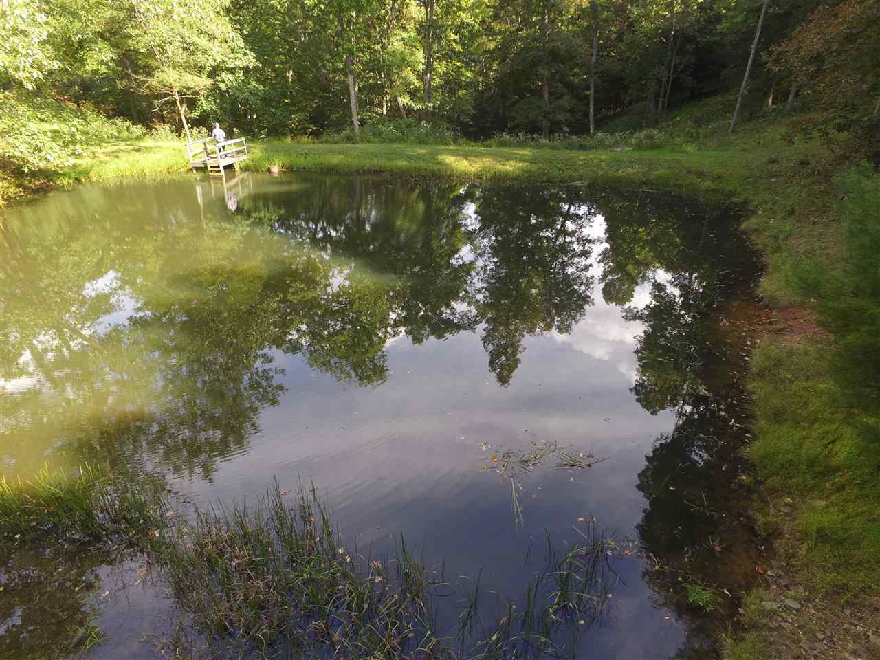 1480 Davis Run Road McDowell, VA 24458 - Photo 10 of 49 Gallery Image 10