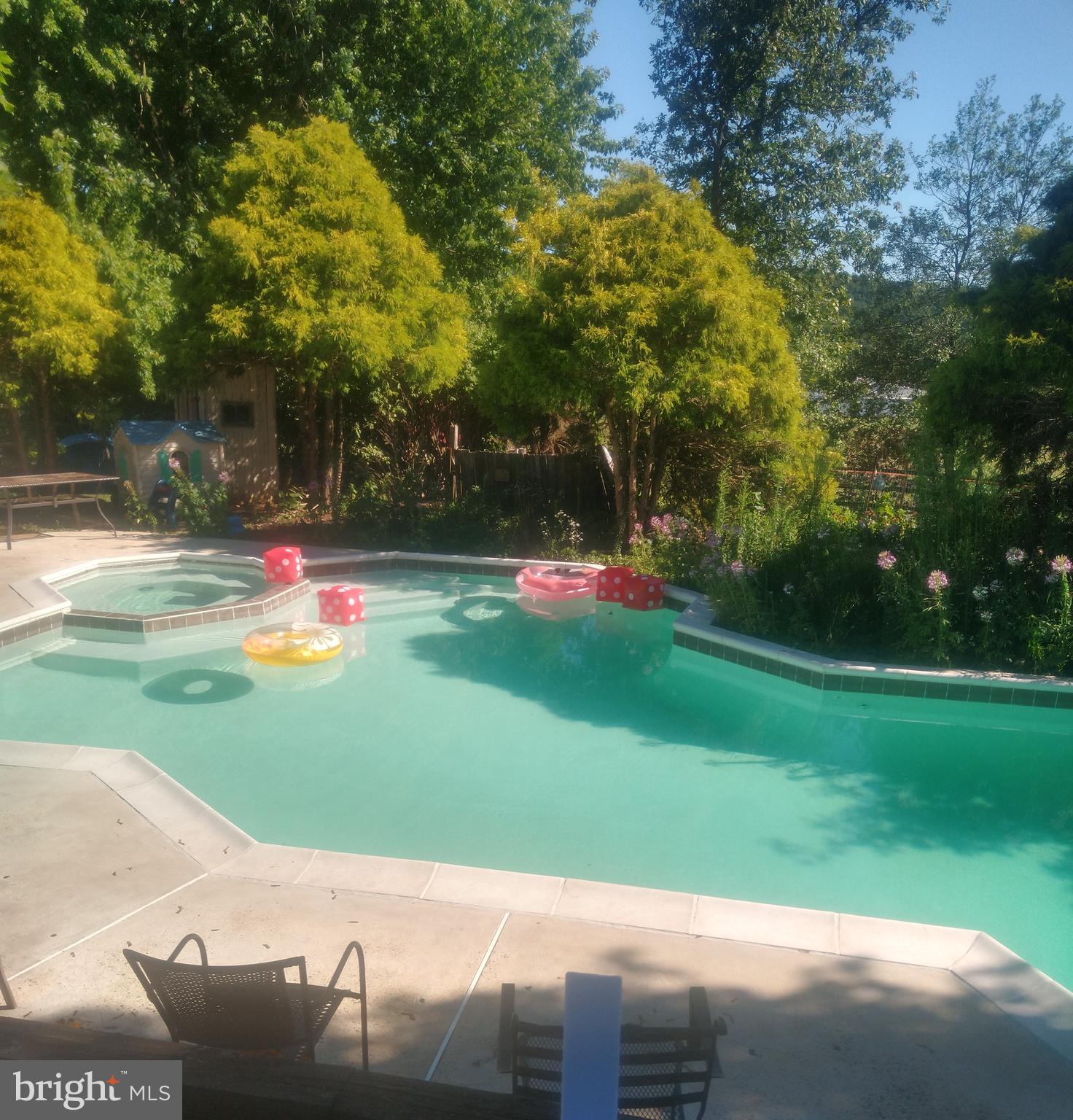 300 South Windy Mansion Road Denver, PA 17517 - Photo 14 of 47 In Ground Pool