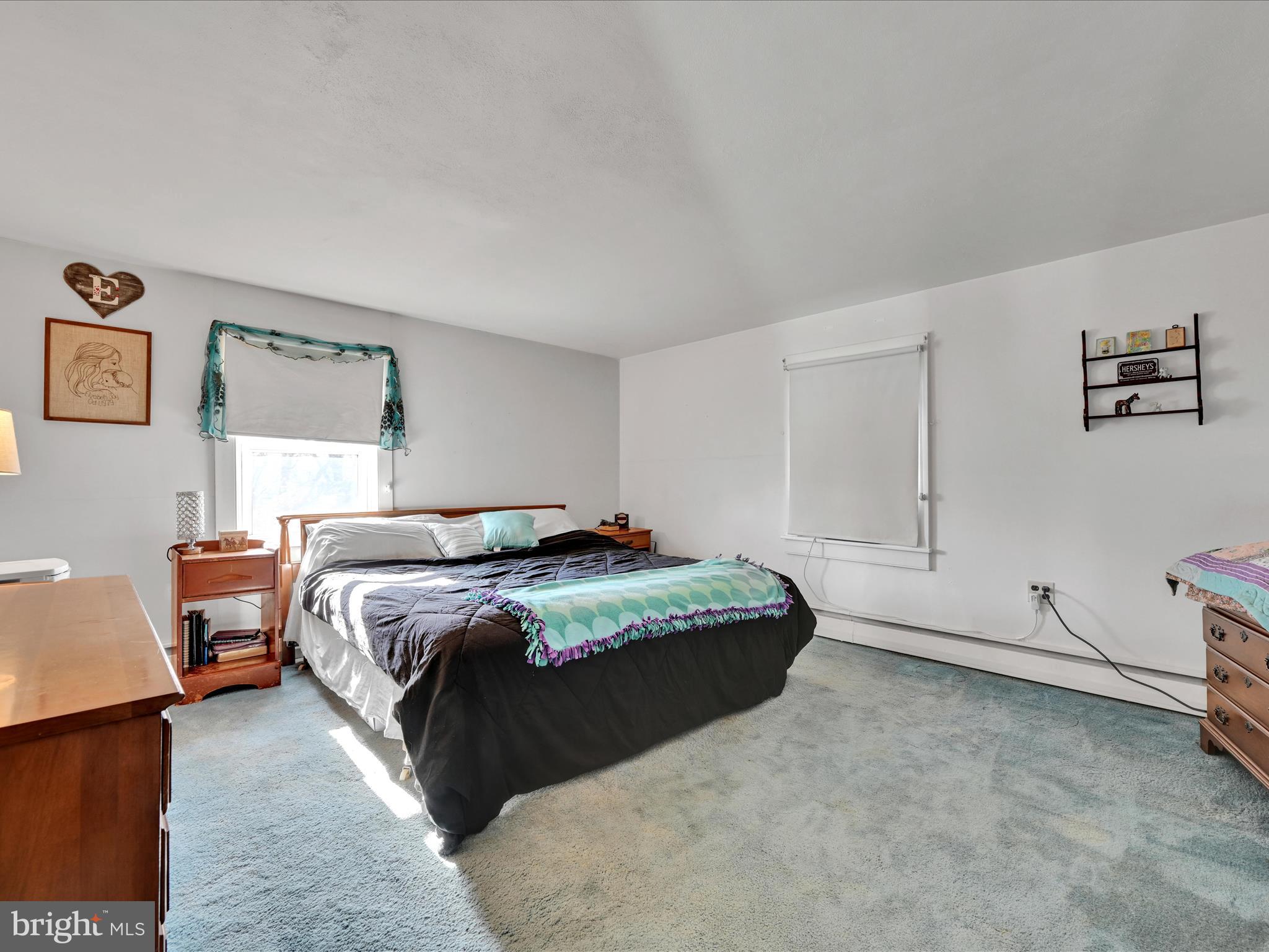 300 South Windy Mansion Road Denver, PA 17517 - Photo 34 of 47 Master Bedroom