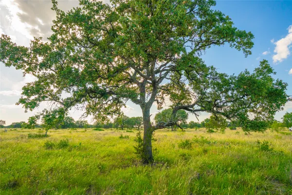 a fire pit in middle of green field