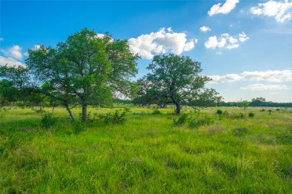 a backyard of a house with lots of green space and lake view