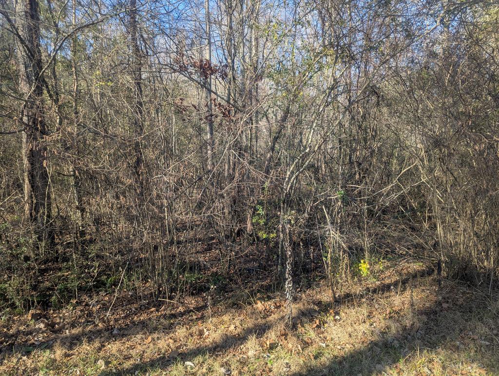 0 South Hurricane Road Rocky Face, GA 30740 - Photo 2 of 5 Gallery Image 2