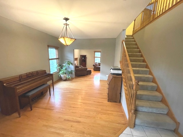 25200 West Pawnee Lane Channahon, IL 60410 - Photo 11 of 30