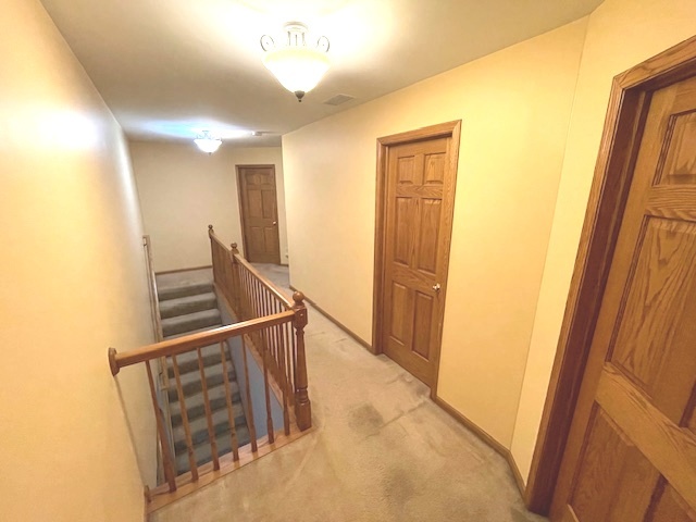 25200 West Pawnee Lane Channahon, IL 60410 - Photo 12 of 30