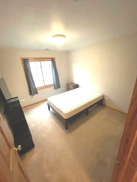 25200 West Pawnee Lane Channahon, IL 60410 - Photo 22 of 30