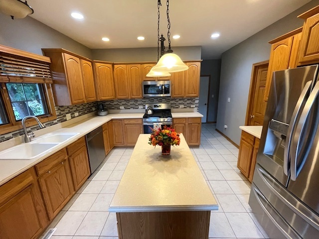 25200 West Pawnee Lane Channahon, IL 60410 - Photo 5 of 30