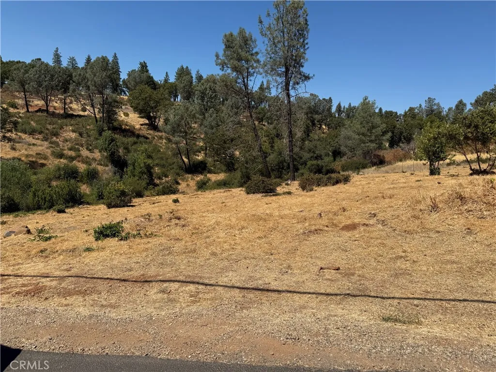 373 Apple Paradise, CA 95969 - Photo 3 of 10 a view of a yard with a tree