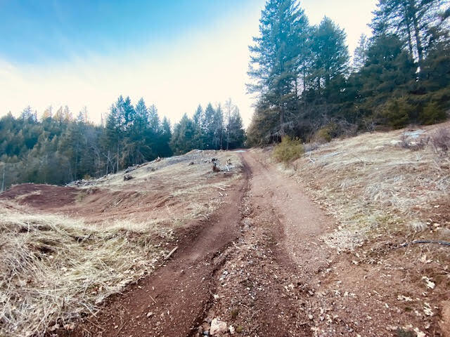 960 Democrat Gulch Road Weaverville, CA 96093 - Photo 4 of 8 Democrat (4)