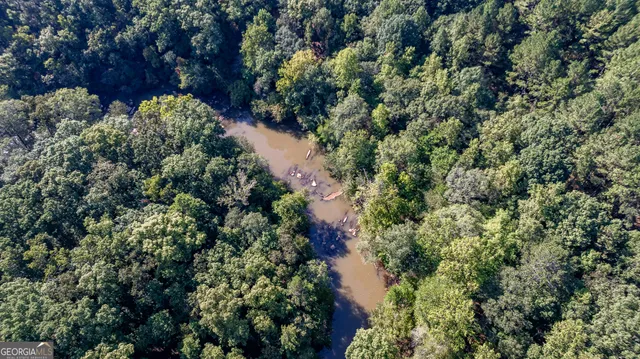 a view of a garden with plants