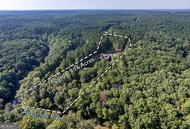 a view of a city with lush green forest