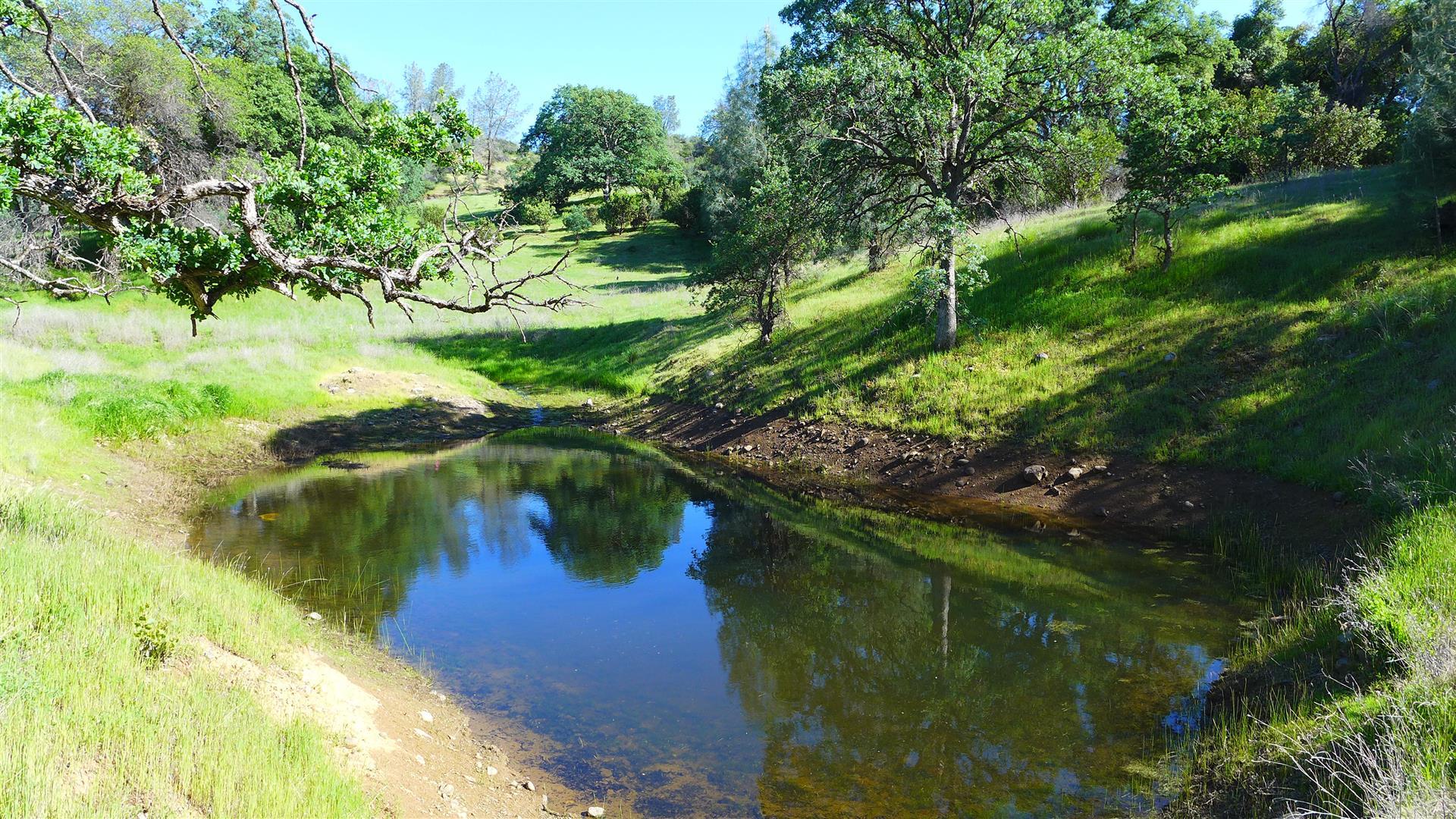 40-ac Platina Road Igo, CA 96047 - Photo 12 of 22 P1010046