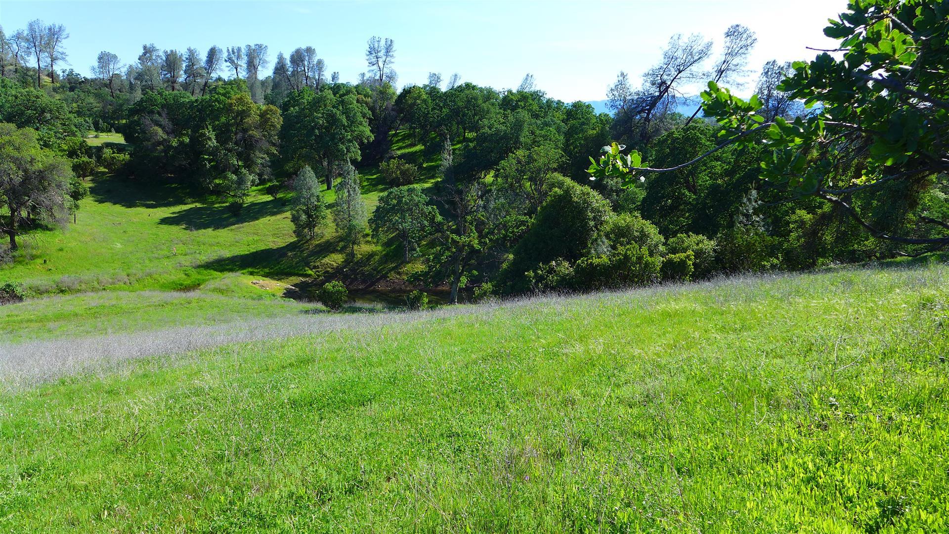 40-ac Platina Road Igo, CA 96047 - Photo 6 of 22 P1010036