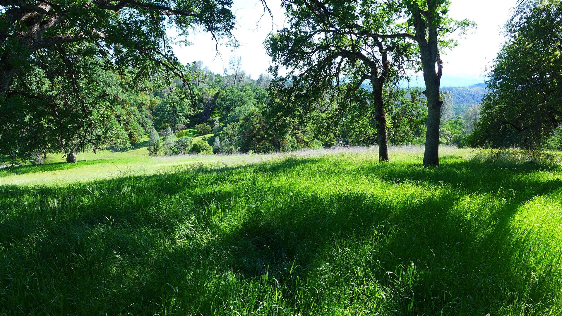 40-ac Platina Road Igo, CA 96047 - Photo 9 of 22 P1010040