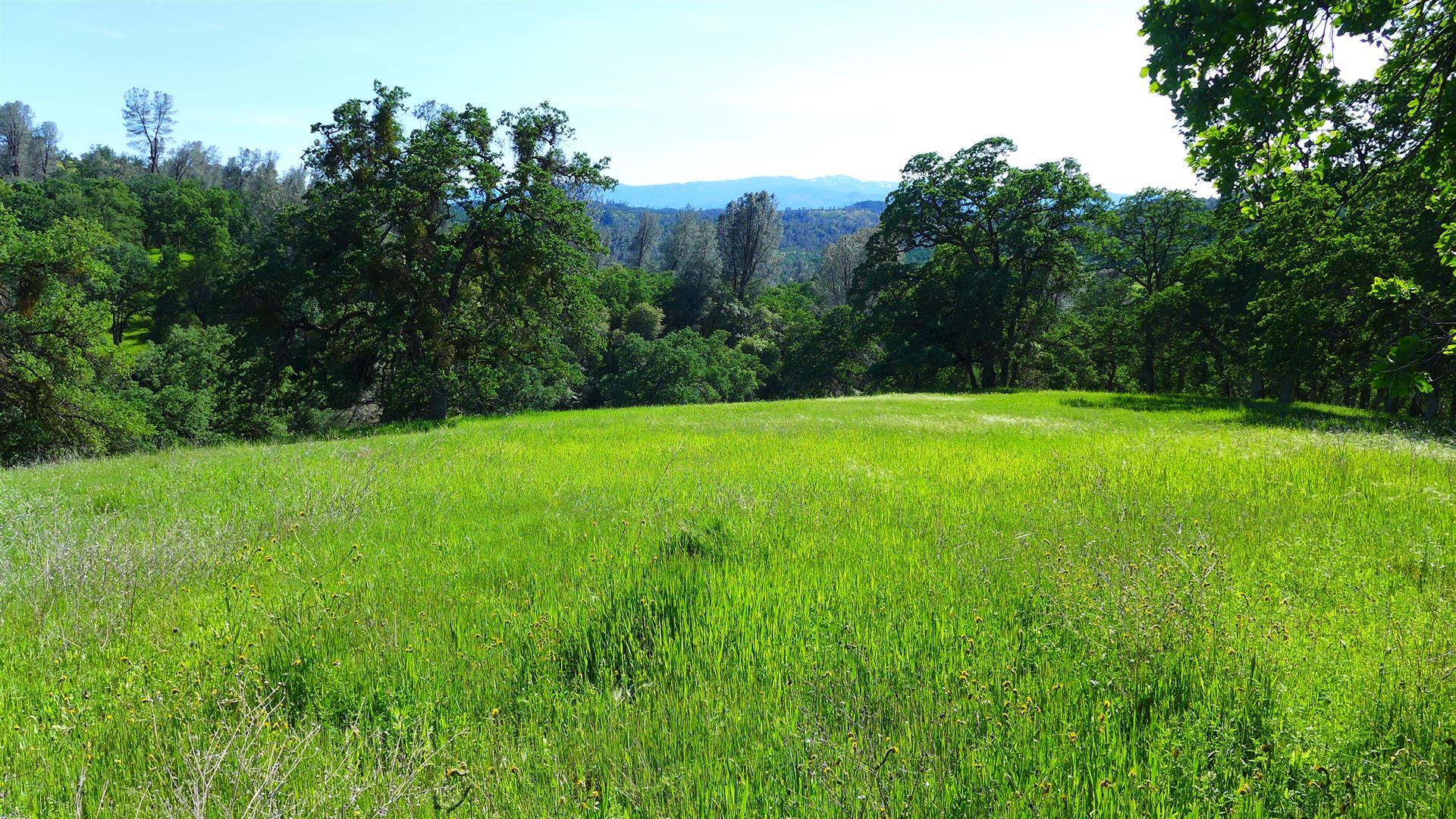 40-ac Platina Road Igo, CA 96047 - Photo 10 of 22 P1010041