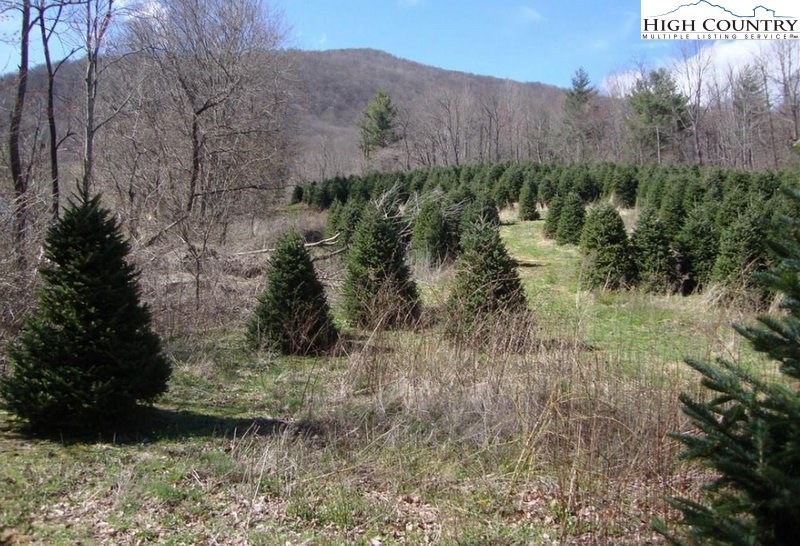 Sexton Road Jefferson, NC 28640 - Photo 1 of 5 Gallery Image 1