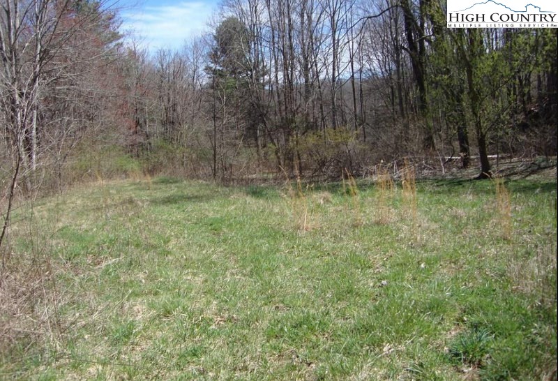 Sexton Road Jefferson, NC 28640 - Photo 2 of 5 Gallery Image 2