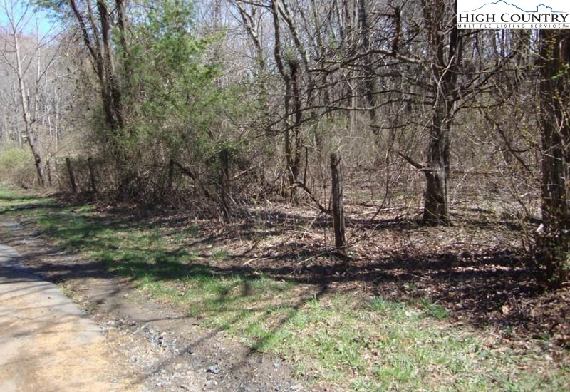 Sexton Road Jefferson, NC 28640 - Photo 4 of 5 Gallery Image 4