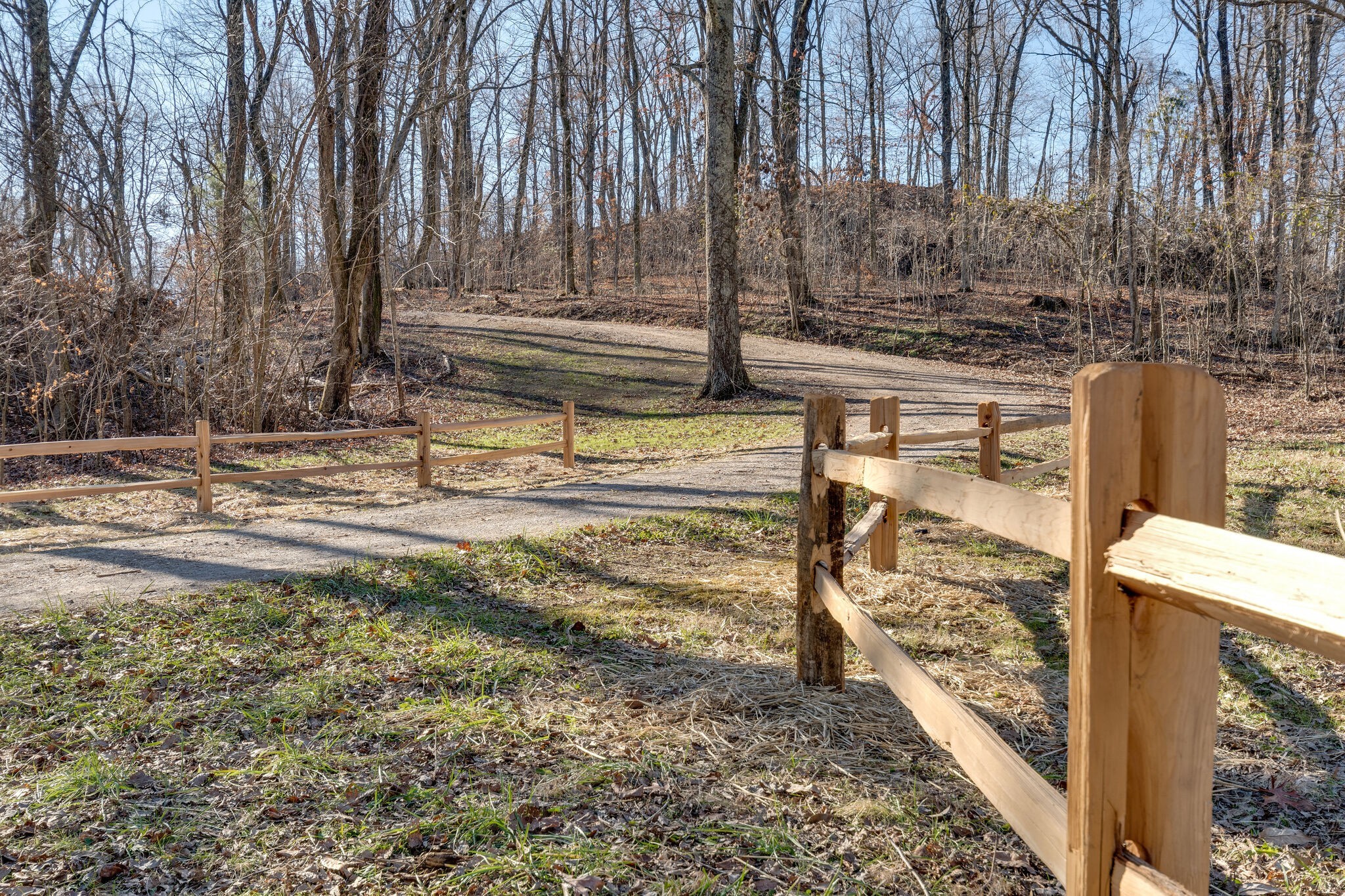 4034 Roy Thompson Road Mount Pleasant, TN 38474 - Photo 3 of 50 Gallery Image 3